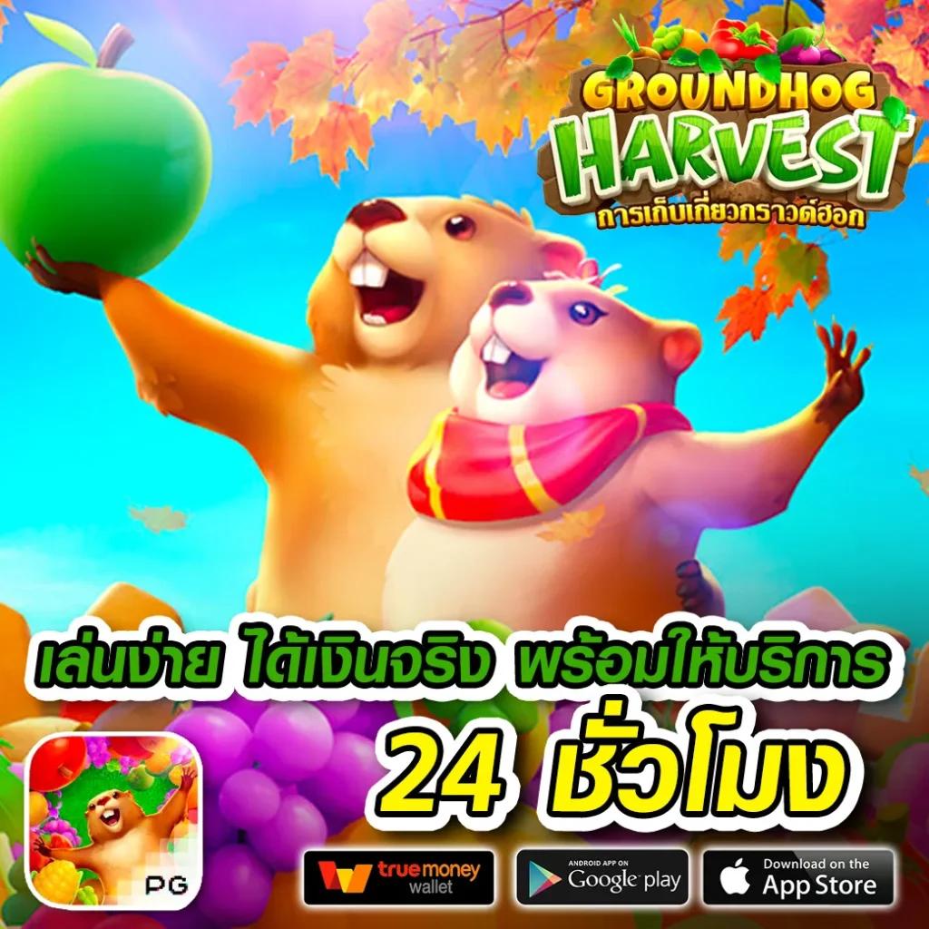 z8 slot รวมเกมคาสิโนออนไลน์ได้เงินจริง โบนัสจัดเต็มทุกวันสุดคุ้ม