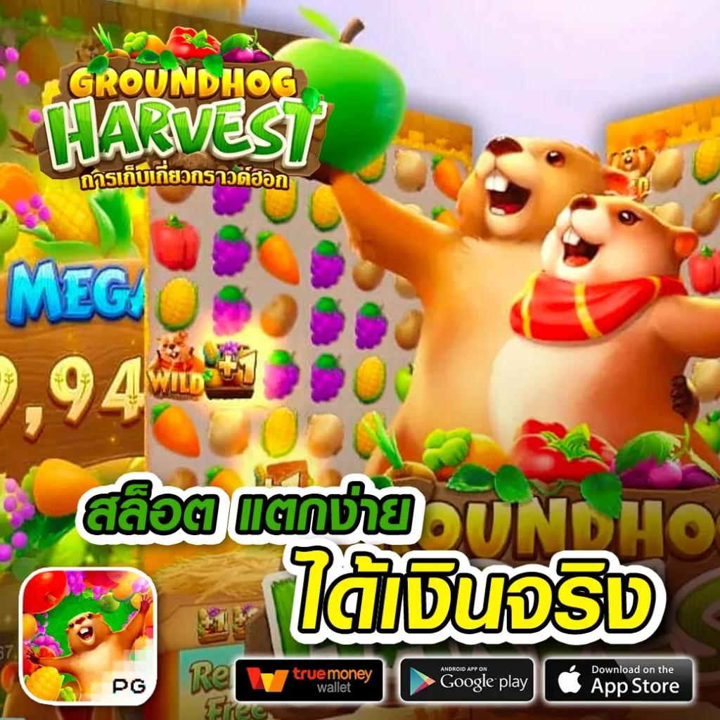 บอลเมื่อคืนนี้ คาสิโนสดออนไลน์ ฝากถอนออโต้ ระบบทันสมัย